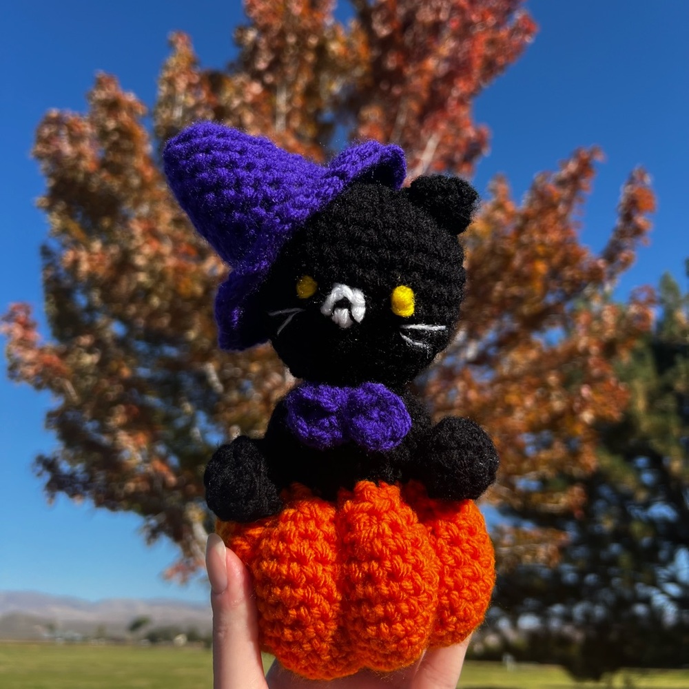 🎃Hand Crocheted Black Witch Cat on Pumpkin!